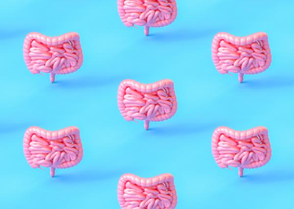 A series of healthy, pink "guts" on a blue background.
