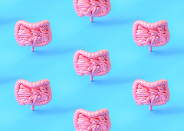 A series of healthy, pink "guts" on a blue background.