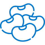 Blue beans icon
