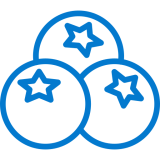 blue blueberries icon