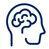 the human brain