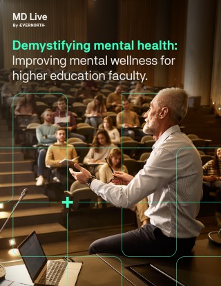Demystifying mental health: Improving mental wellness for higher education faculty.